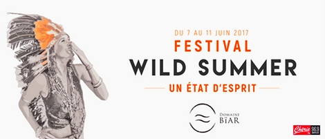 wildsummerfestival2017