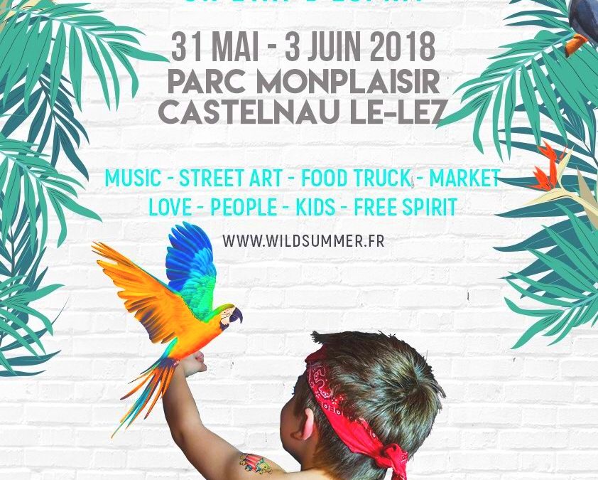 Évènement – Wild summer festival 2018